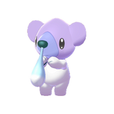 Buy Shiny 6IV Cubchoo